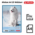 Herlitz Μπλοκ A4 25 Φύλλων WOLF