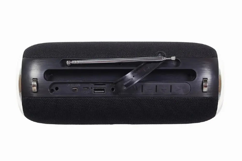 GEMBIRD PORTABLE BLUETOOTH SPEAKER WITH ANTENNA BLACK