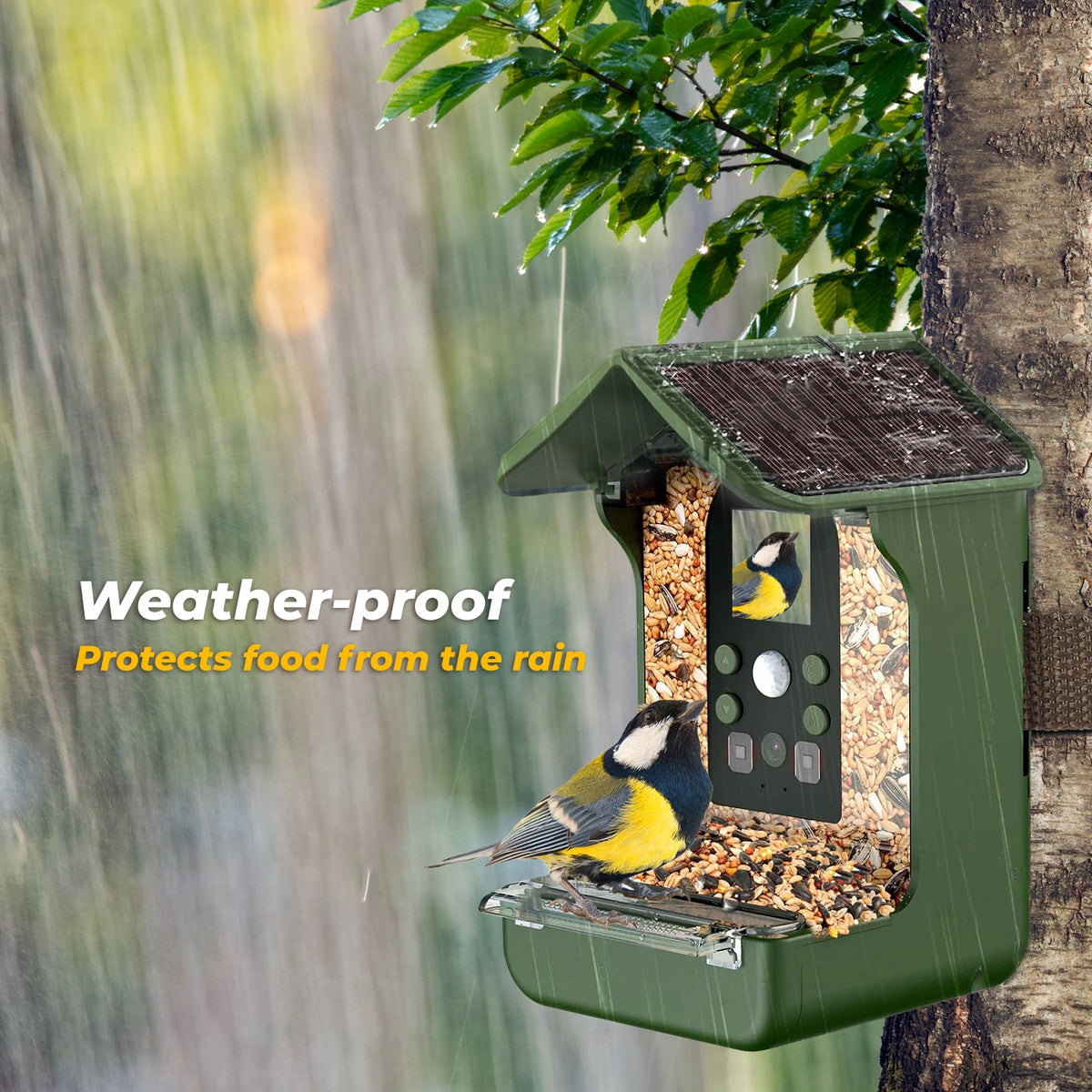 EASYPIX BIRDYCAM VIDEO/PHOTO BOX AND FEEDING STATION 12MP