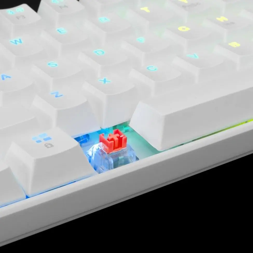 WHITE SHARK MECHANICAL KEYBOARD RED SWITCH GK-004211 WHITE