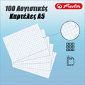 100 Λογιστικές Καρτέλες α5 170GRM²
