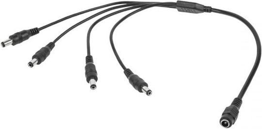 Καλώδιο τροφοδοσίας KPO2917LX 1x σε 4x DC 2.1/5.5 F/M