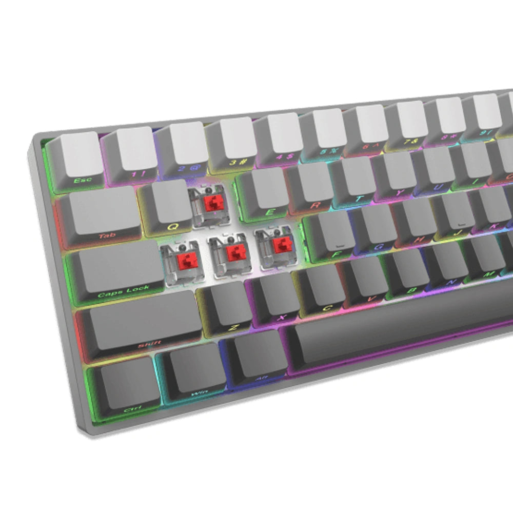 WHITE SHARK MECH KEYBOARD US LAYOUT GK-007711 RED SWITCH GRAY GRADIENT